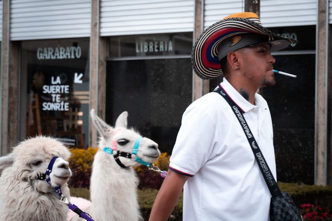 ¿Por qué el esquema previsional argentino es “insostenible” y qué lecciones puede aprender Colombia?